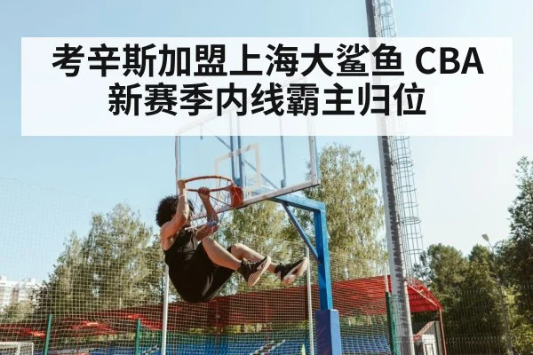 考辛斯加盟上海大鲨鱼 CBA新赛季内线霸主归位
